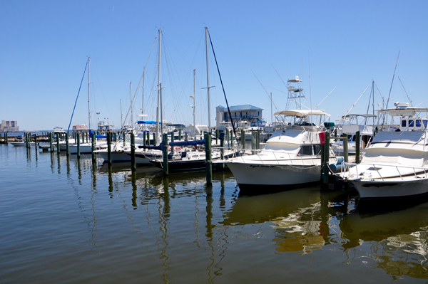 sailboats at the dock